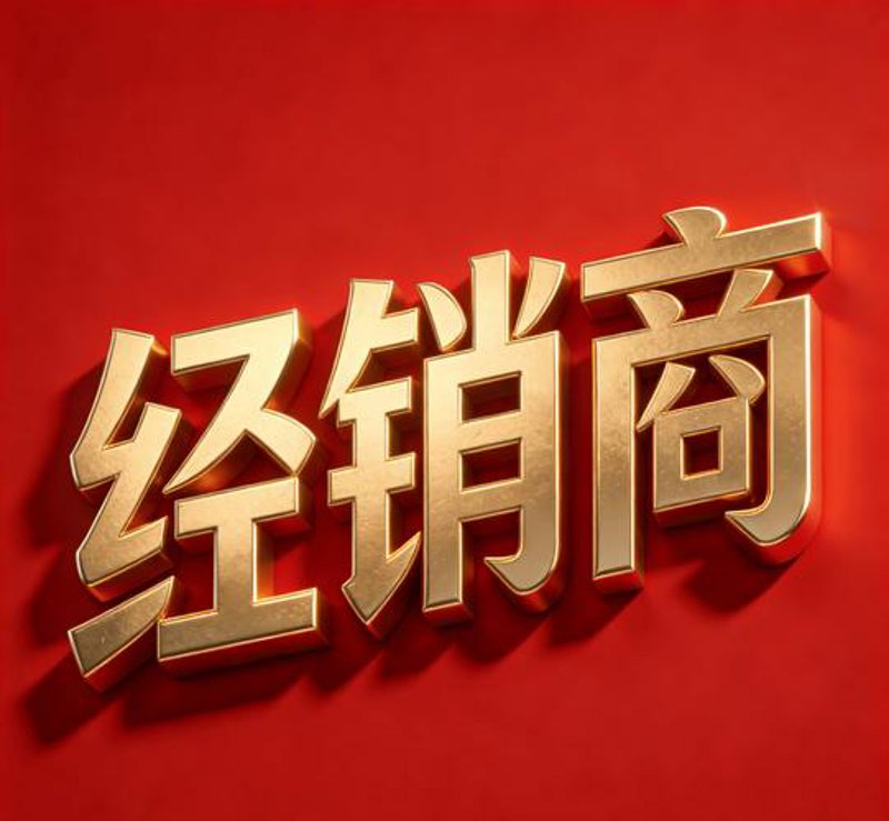 上海杨雅实业：探索现代商业中的创新活力